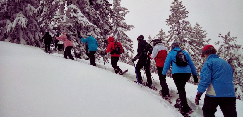 Tours & Activities 2